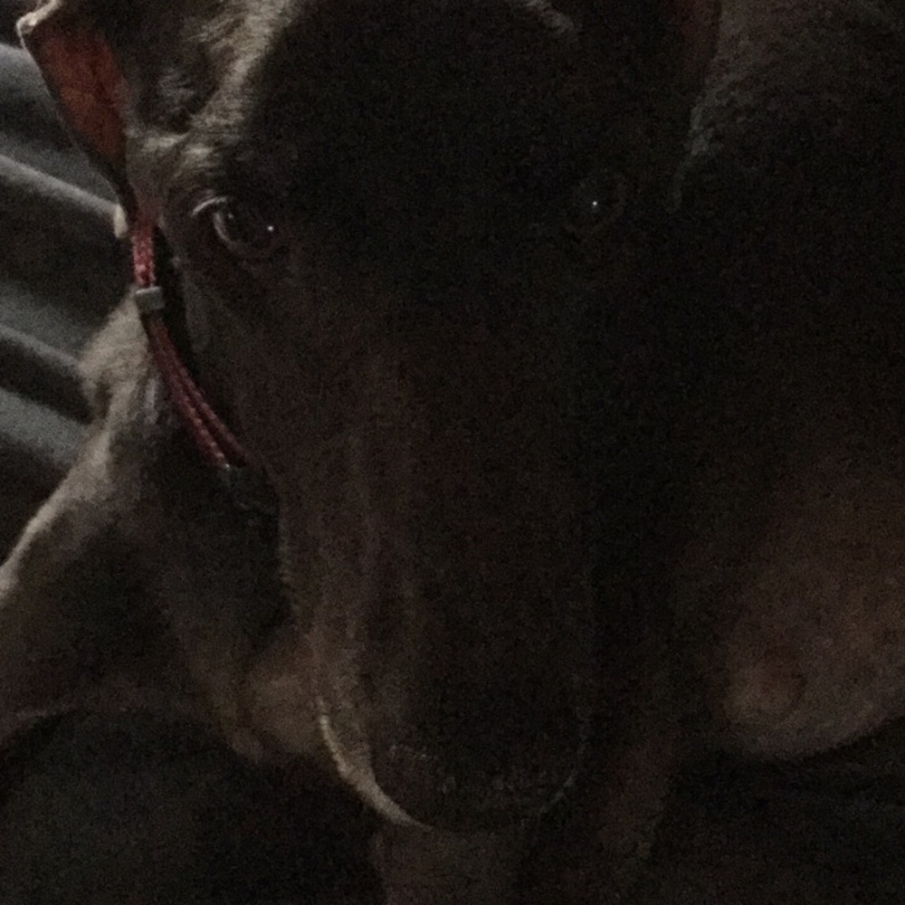 Meet your Posher, Sabrina